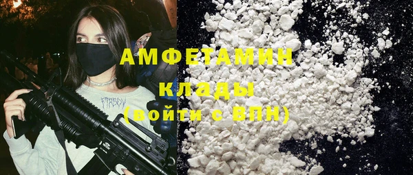 индика Сатка