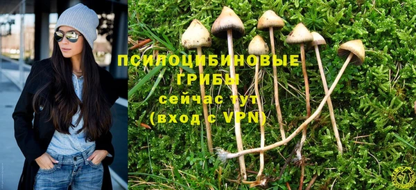 герыч Алексин