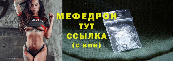 индика Сатка