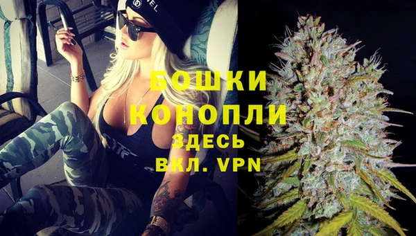 дурь Алзамай